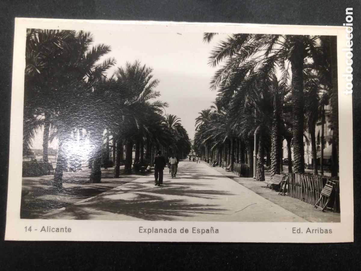 Postais: POSTAL ALICANTE EXPLANADAS DE ESPA&Ntilde;A ED ARRIBAS N&ordm; 14