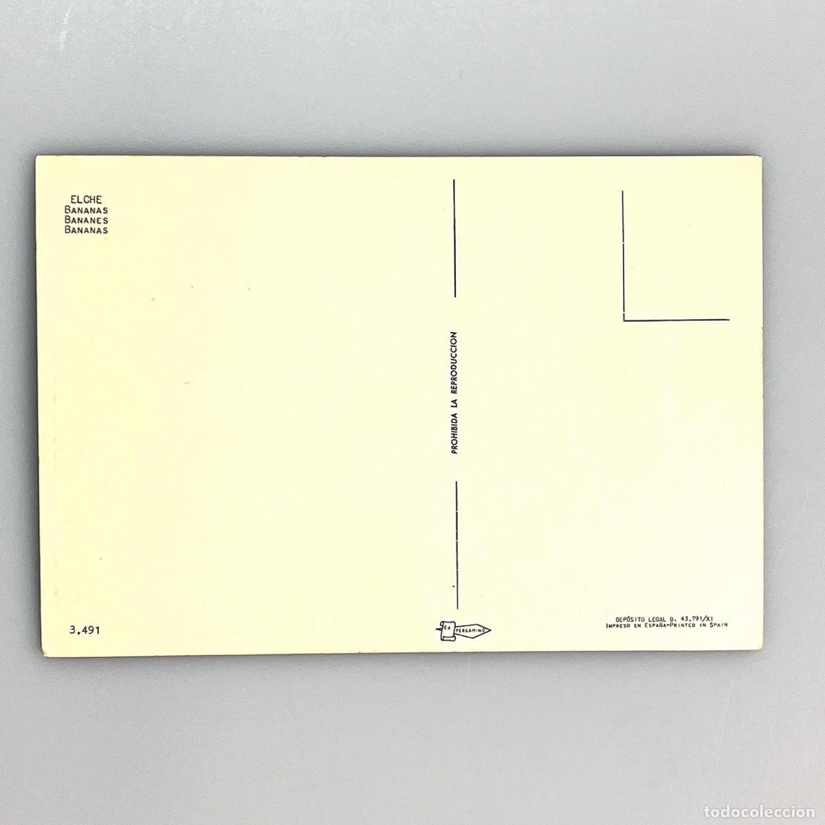 Postales: 3491, Elche, Bananas - Foto 2