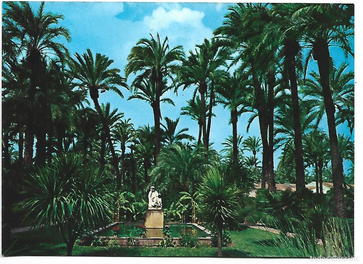 Postales: HORT DEL GAT.- ELCHE - Foto 1