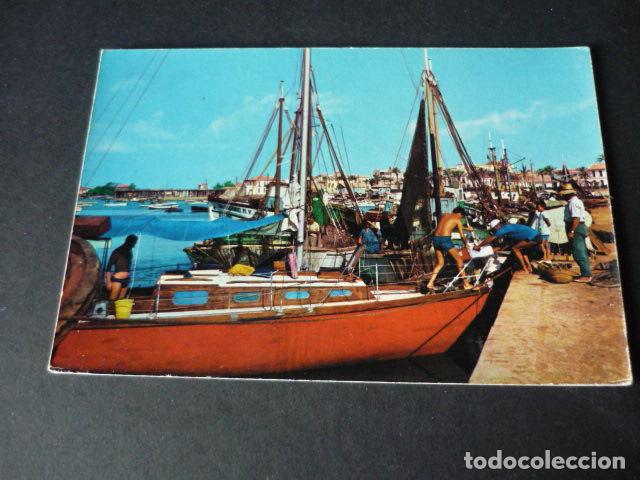 Postais: TORREVIEJA ALICANTE PUERTO