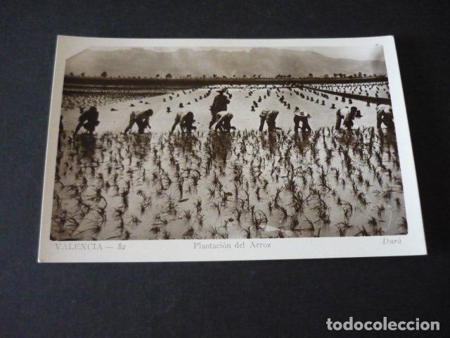 Postais: VALENCIA PLANTACI&Oacute;N DE ARROZ