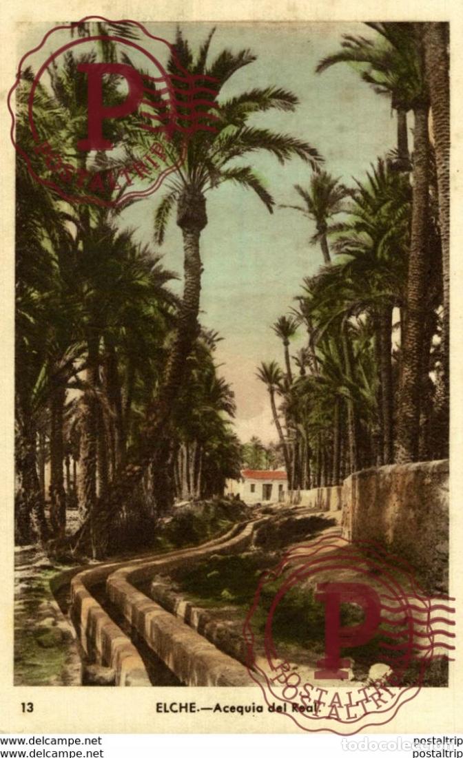 Postales: ELCHE. ACEQUIA DEL REAL - Foto 1