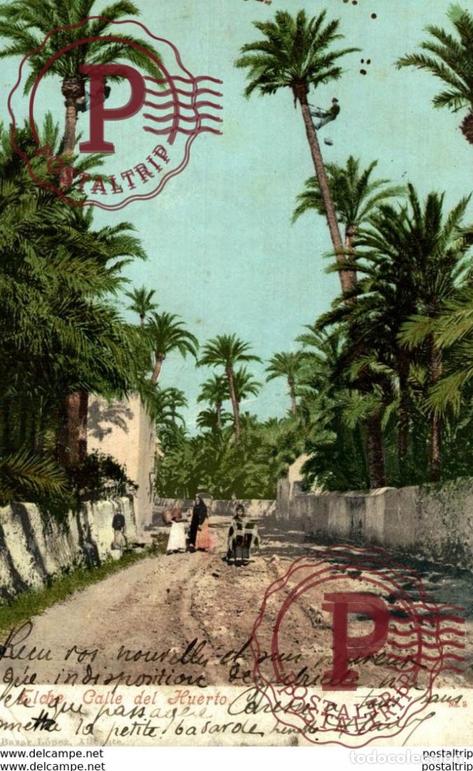 Postkarten: ELCHE CALLE DEL HUERTO