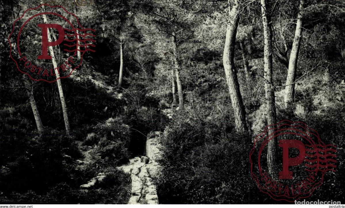 Postkarten: VALENCIA. PORTACOELI. FOTOGRAFICA.