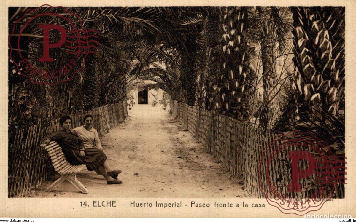 Postcards: ALICANTE. ELCHE, ALICANTE, HUERTO IMPERIAL, PASEO FRENTE A LA CASA