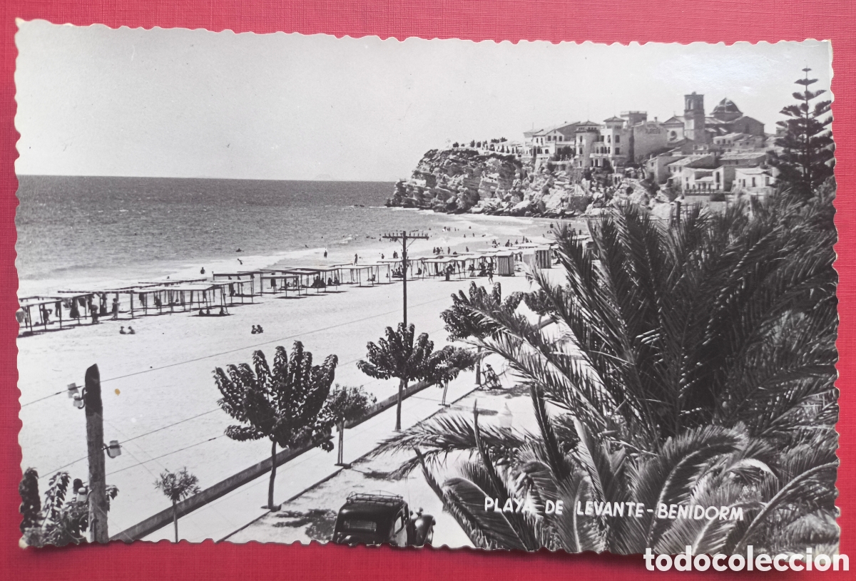 Postales: BENIDORM PLATJA LLEVANT ESCALA POSTAL FOTOGR&Aacute;FICA ALACANT C. 1965
