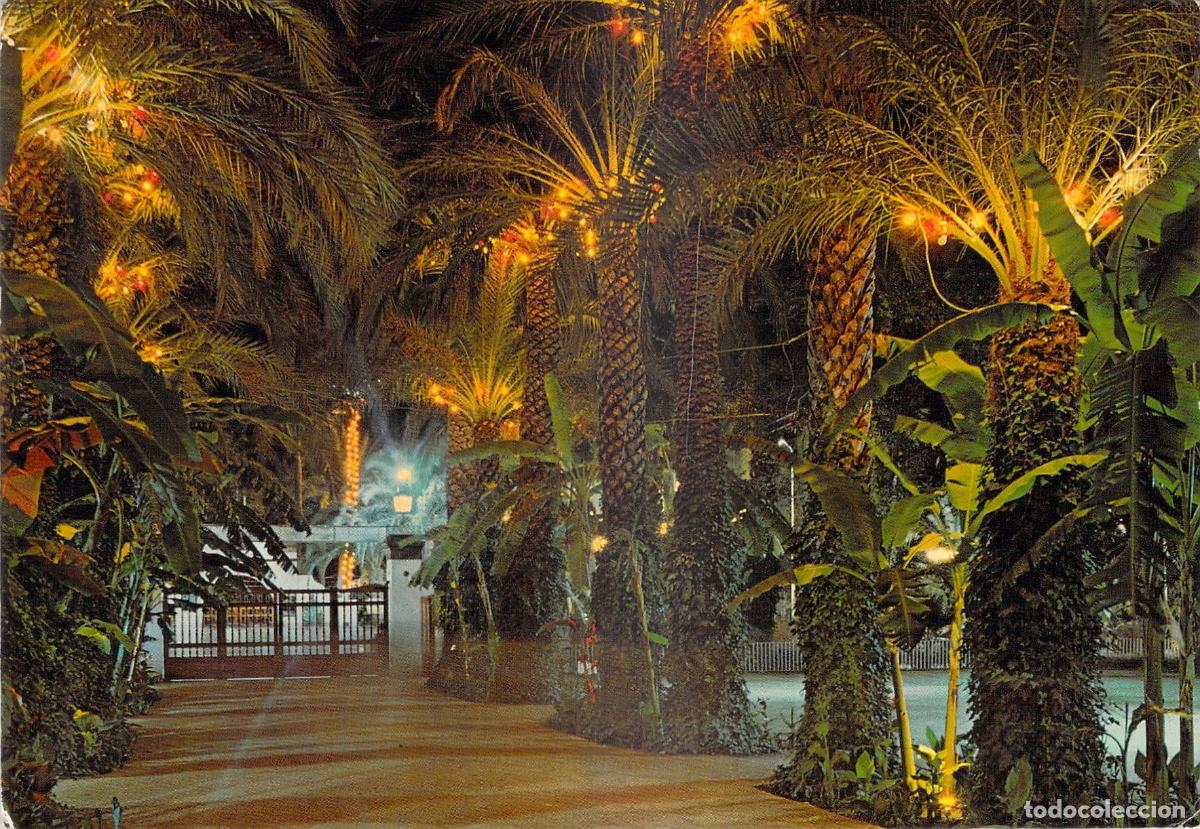 Postales: Postal de Elche, Parque Municipal iluminado de noche, Alicante