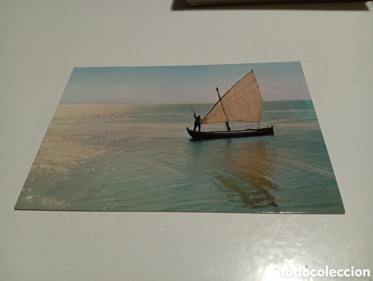 Postales: Postal Valencia contraluz de la Albufera