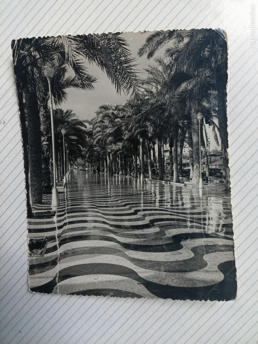 Postales: Alicante, postal no escrita