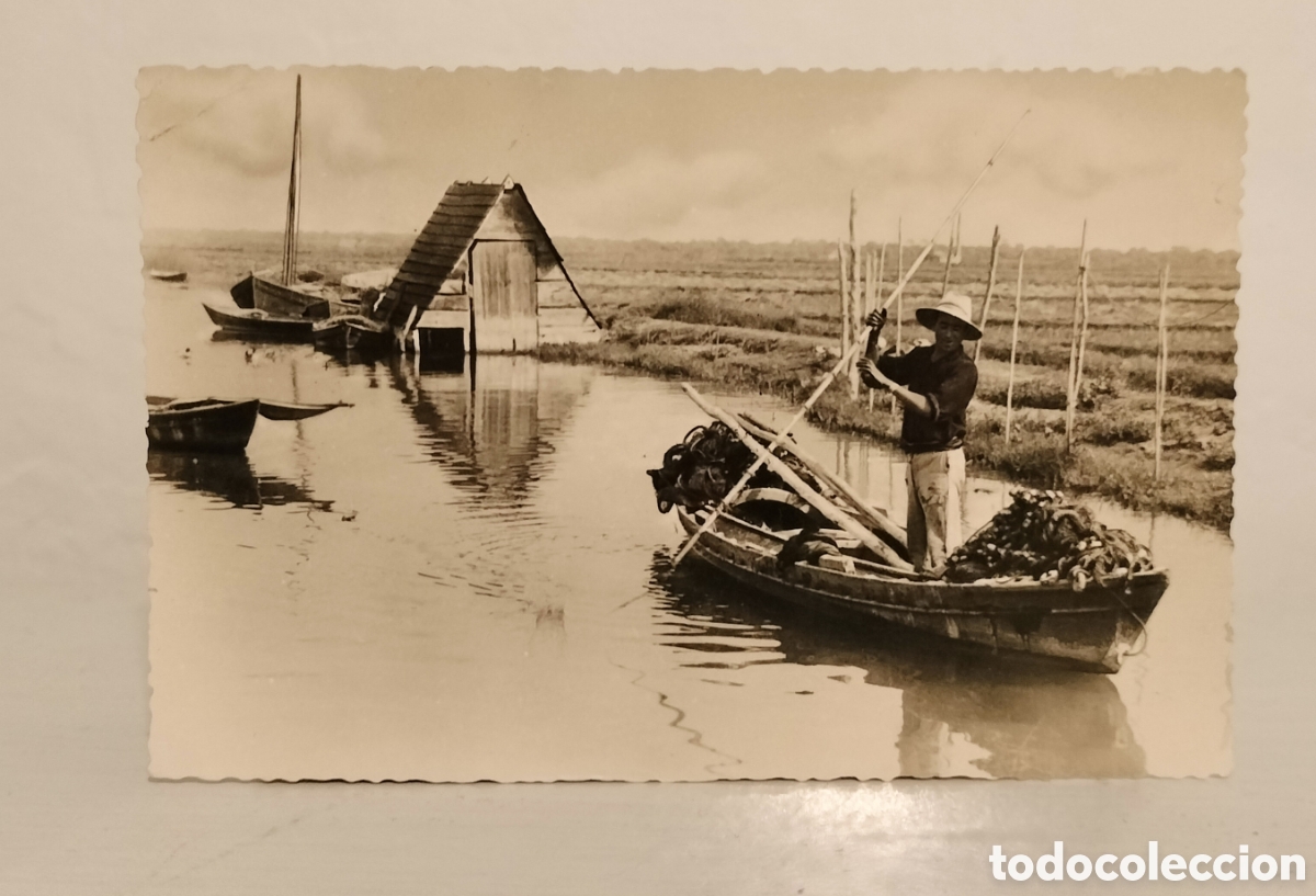Postales: Postal Valencia canal de la Albufera