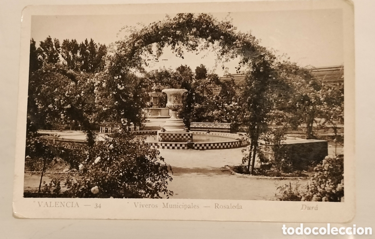Postales: Postal Valencia,viveros municipales