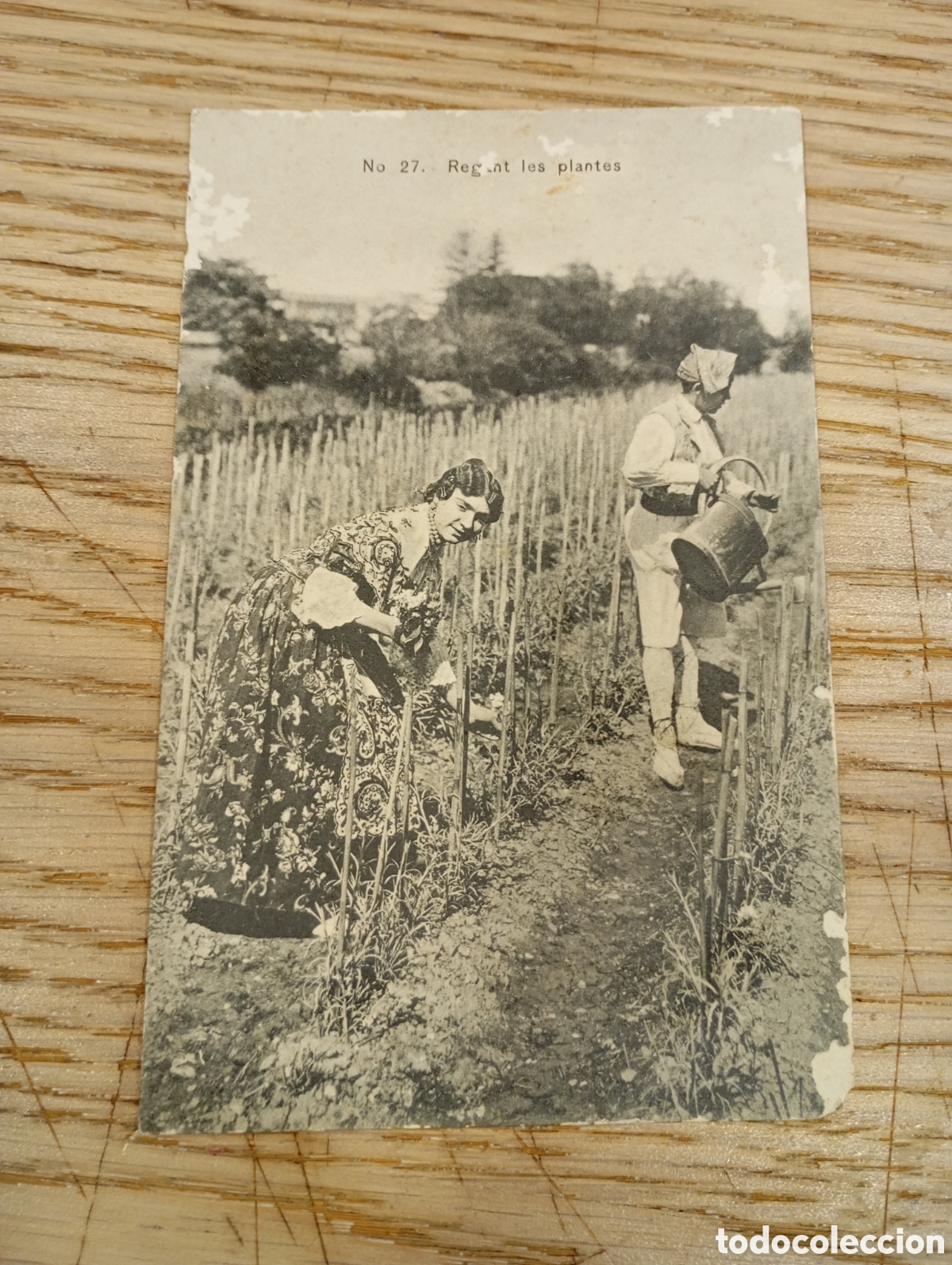 Postales: VALENCIA - REGANDO LAS PLANTAS - COLECCI&Oacute;N E. BORT
