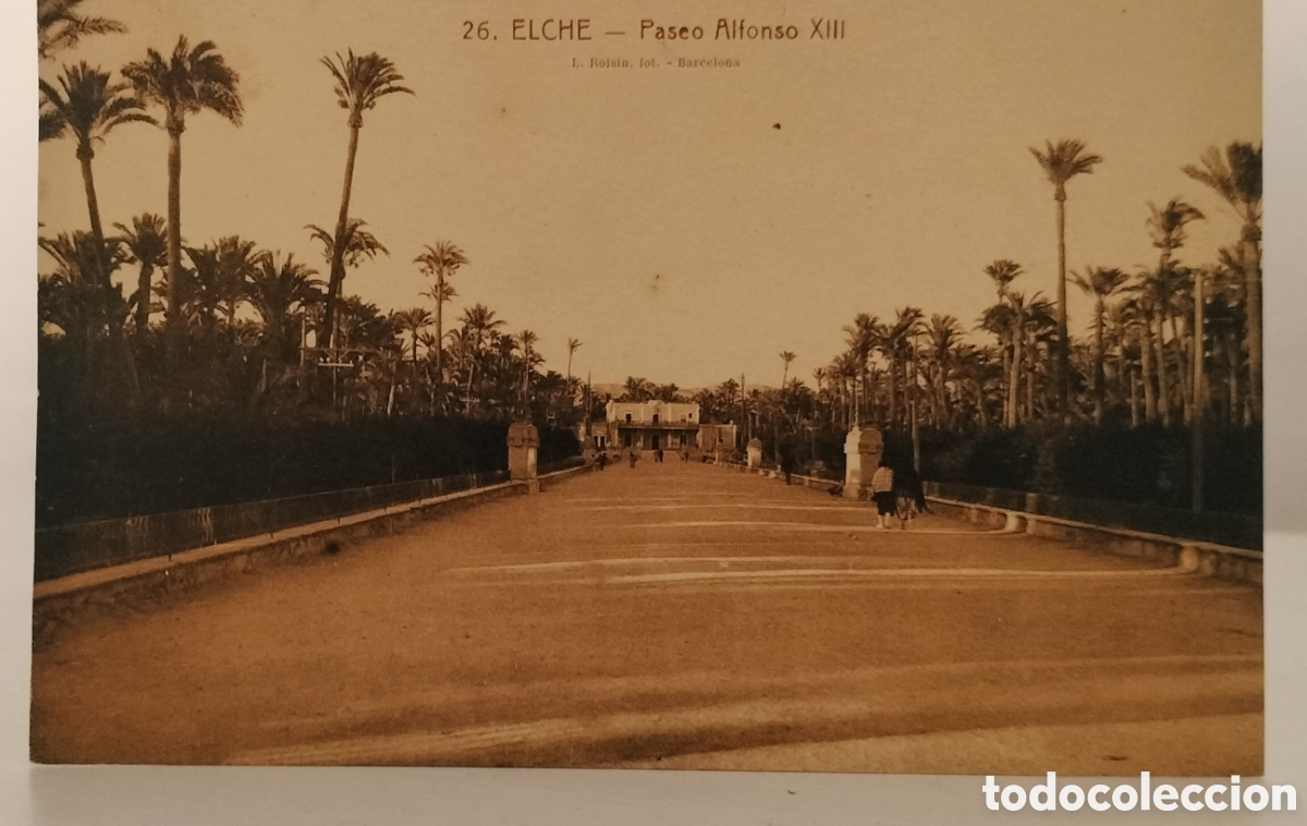 Postales: Elche, paseo Alfonso 13