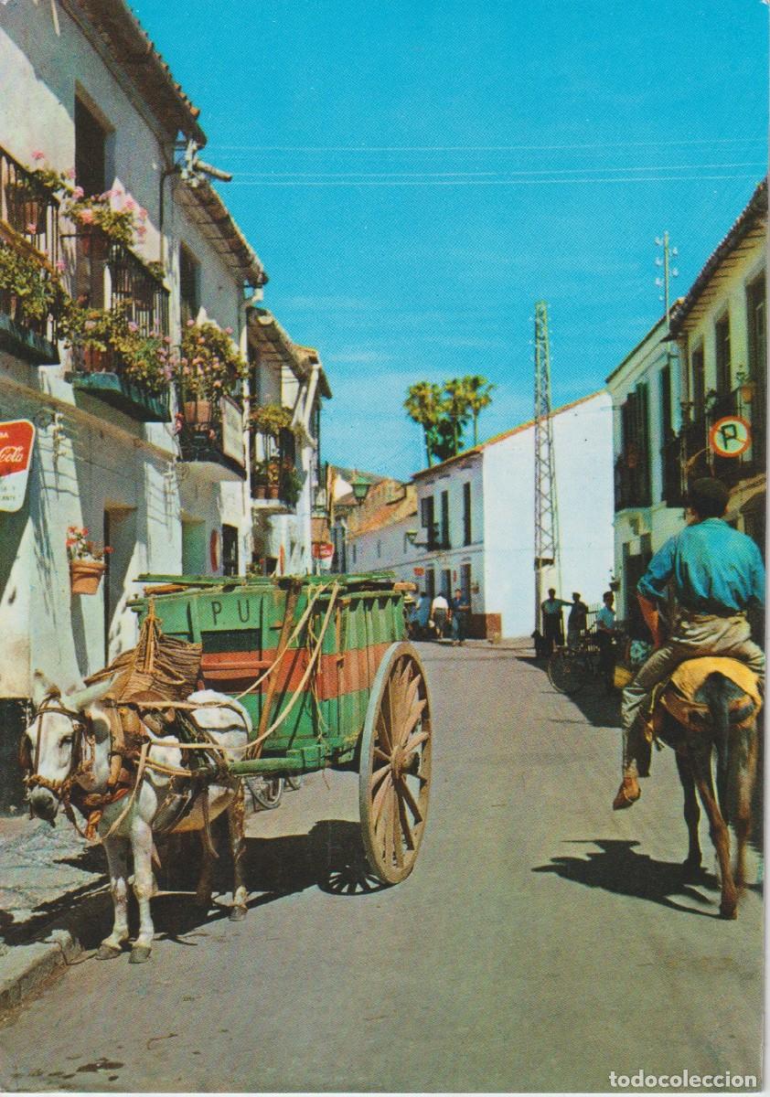 Postales: (20) PROVINCIA DE ALICANTE. CALLE TIPICA . BURRO TIRANDO UN CARRO