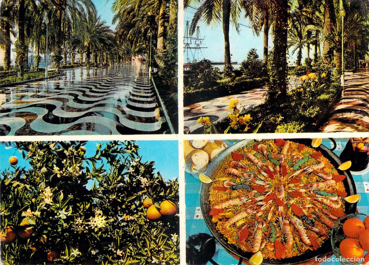 Postales: Postal de Alicante Multivista Explanada Paella y Naranjas