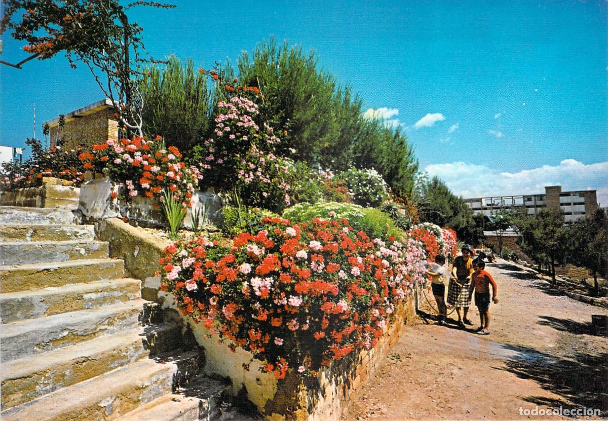 Postales: Postal Jardines de la Aldea Infantil Nazaret en Alicante