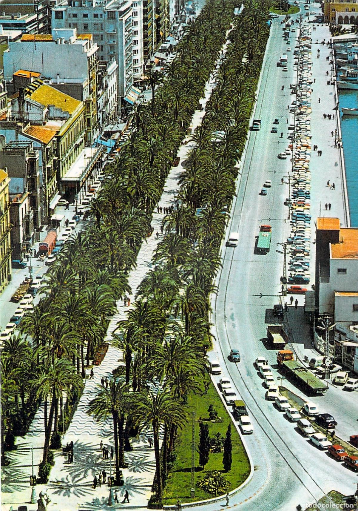 Postales: Postal de Alicante - Explanada de Espa&ntilde;a con Palmeras