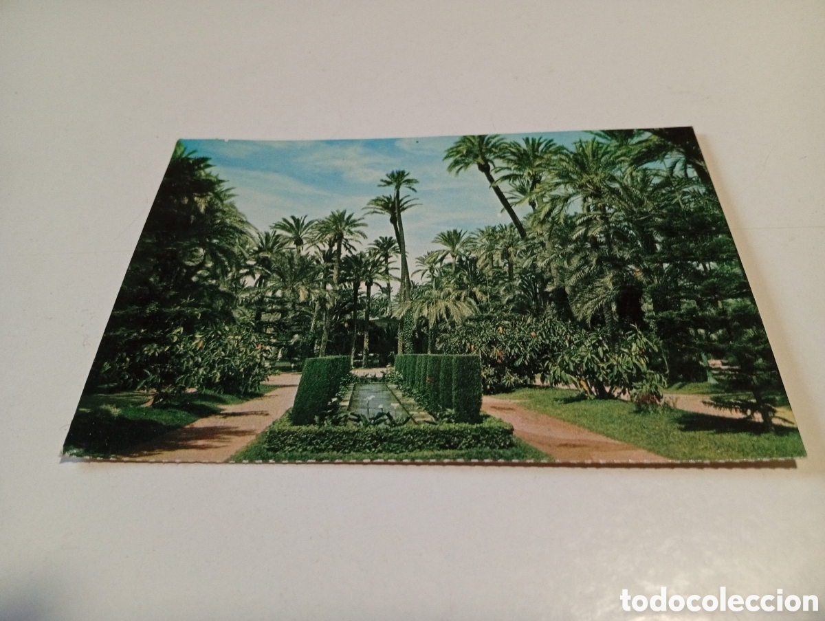 Postales: Postal Elche parque municipal