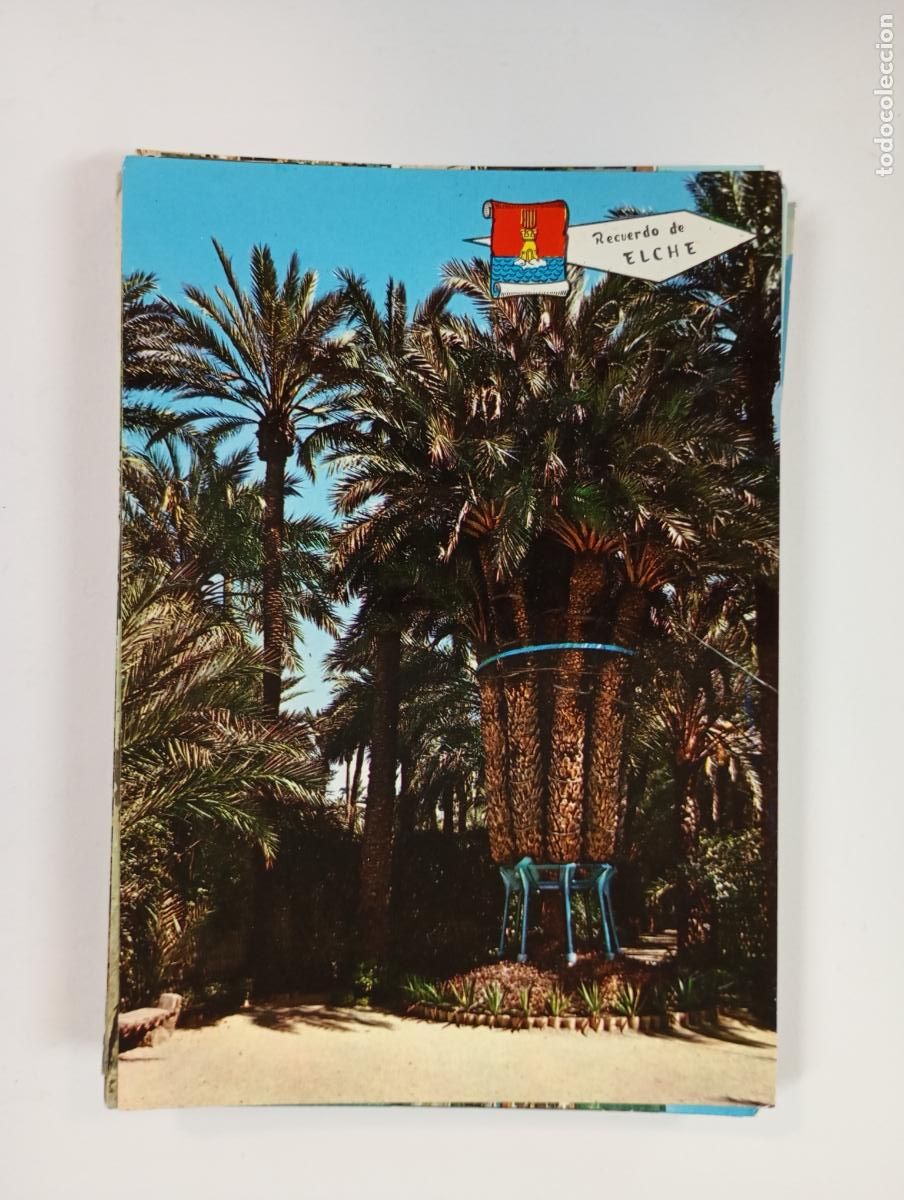 Postales: POSTAL DE ELCHE. HUERTO DEL CURA. TDKP28Z2