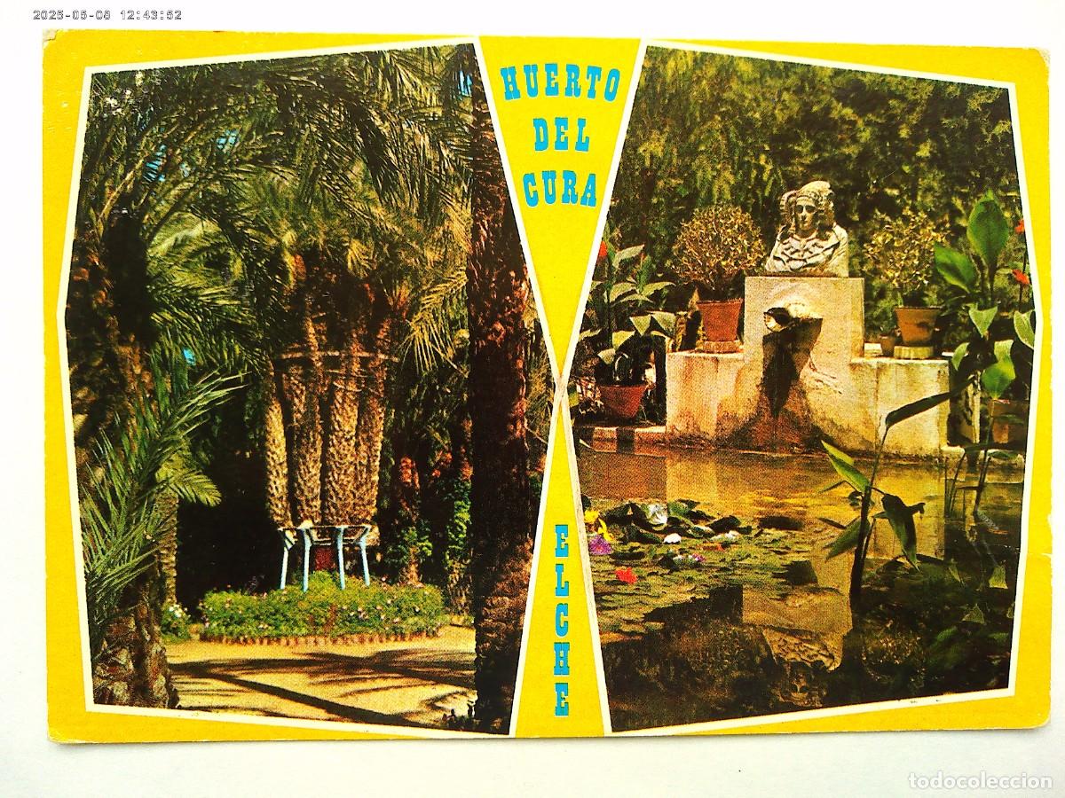 Cartes Postales: POSTAL DE ELCHE ( ALICANTE ): HUERTO DEL CURA , LA PALMERA IMPERIAL , ETC