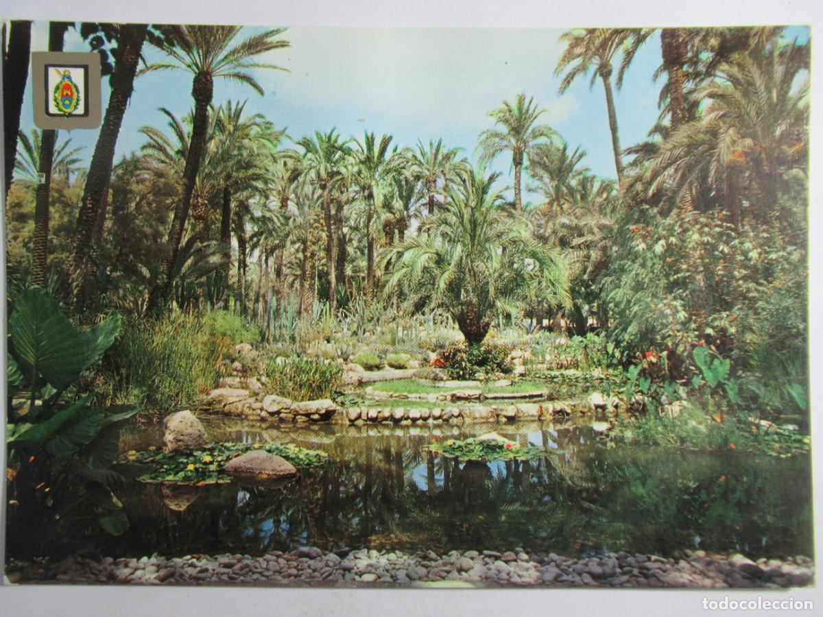 Postales: Elche (Alicante) - Huerto del Cura. Lago y Rocalla - S/C