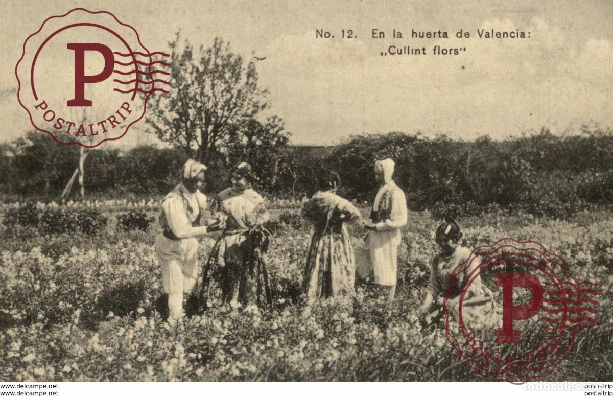 Postales: EN LA HUERTA DE VALENCIA CULLINT FLORS
