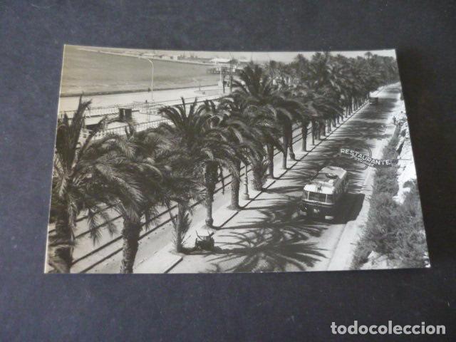 Postales: ALICANTE PALMERAS POSTAL