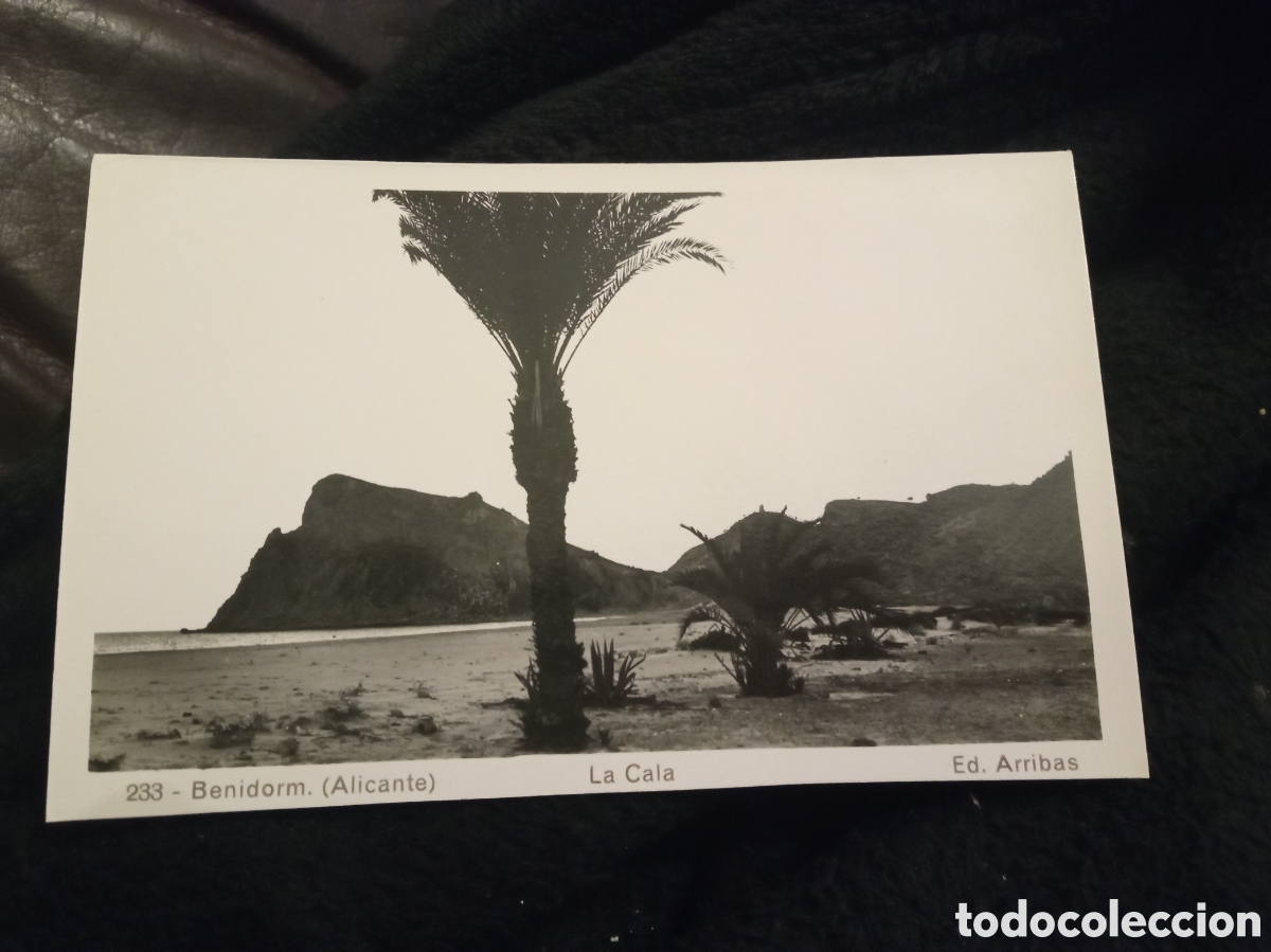 Cartoline: Antigua postal fotogr&aacute;fica, Benidorm (Alicante) La Cala, Ediciones Arribas