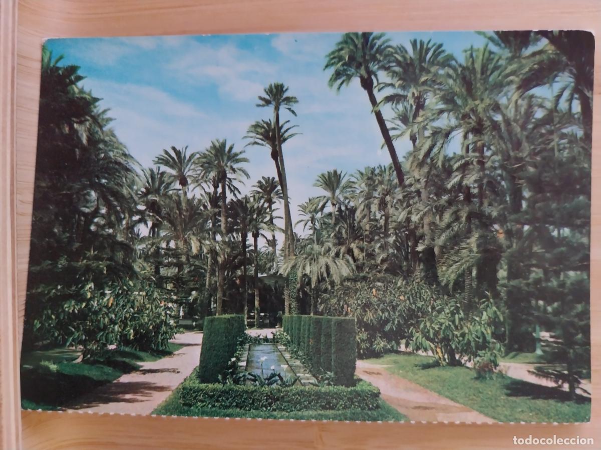 Postales: ELCHE PARQUE MUNICIPAL ED FARDI 434 SC ORIGINAL