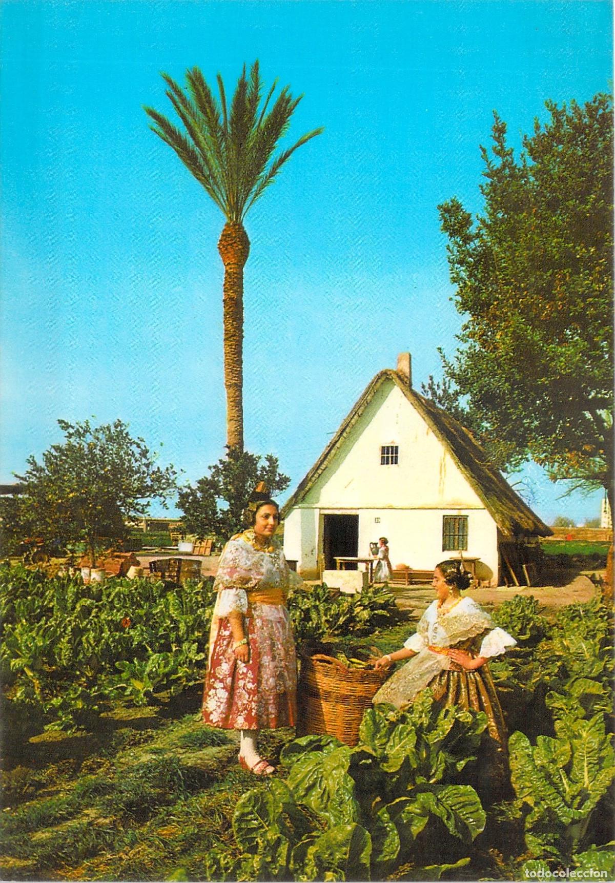 Postales: Postal de Valencia T&iacute;pica con Falleras y Barraca en la Huerta