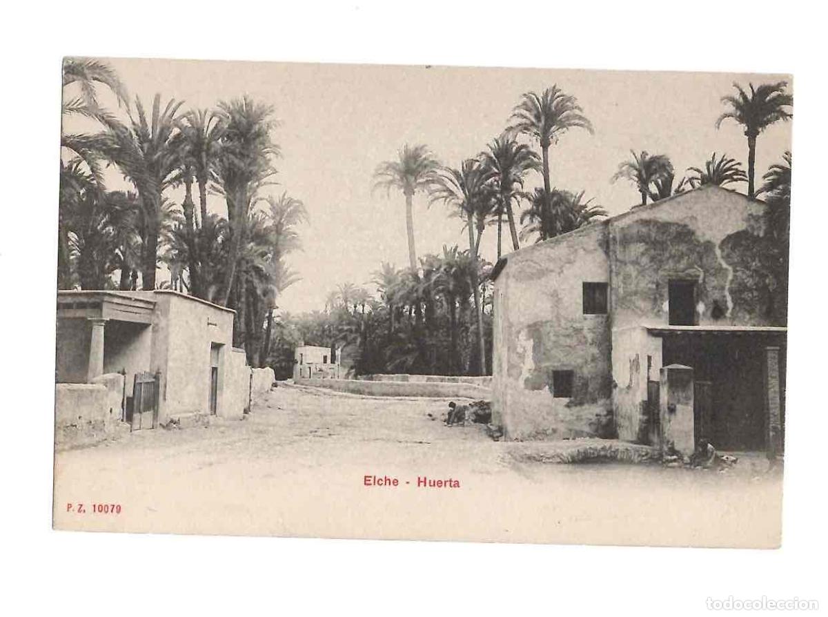 Postales: TARJETA POSTAL ELCHE HUERTA. P.Z. 10079