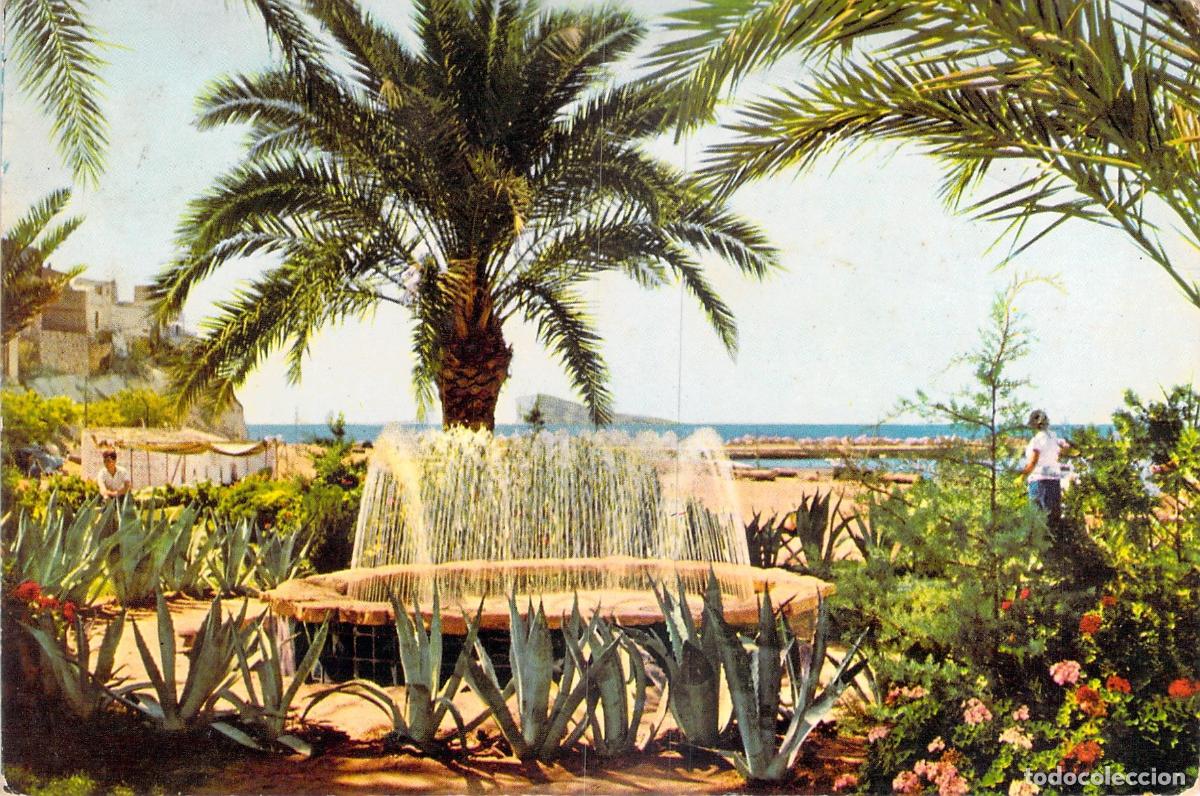 Postales: Postal de Benidorm: Jardines de la Playa de Poniente y Fuente
