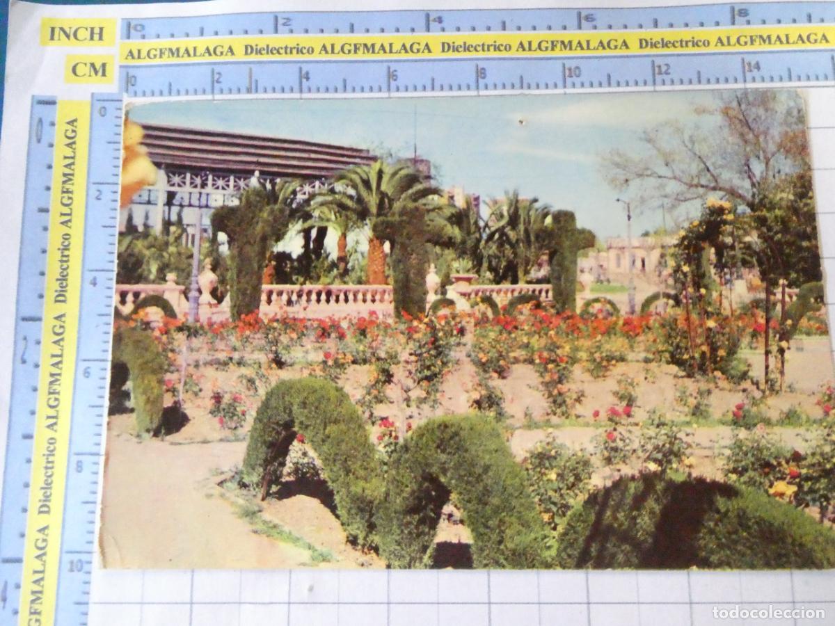 Postales: POSTAL DE VALENCIA. A&Ntilde;O 1962. JARD&Iacute;N DEL REAL VIVEROS 77 MAN&Eacute;N. 1619