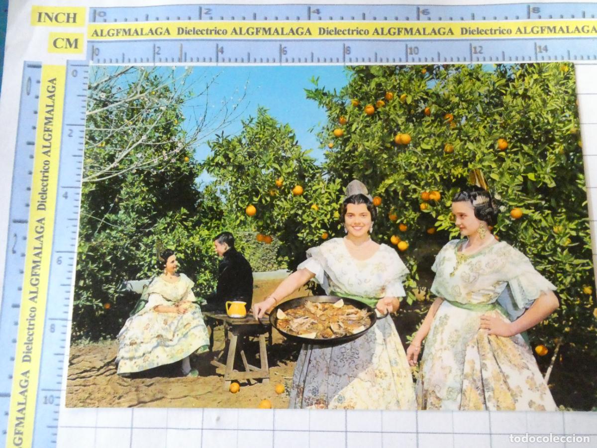 Postales: POSTAL DE VALENCIA. A&Ntilde;O 1964. MUJERES PAELLA HUERTO DE NARANJOS 134 JDP. 1622