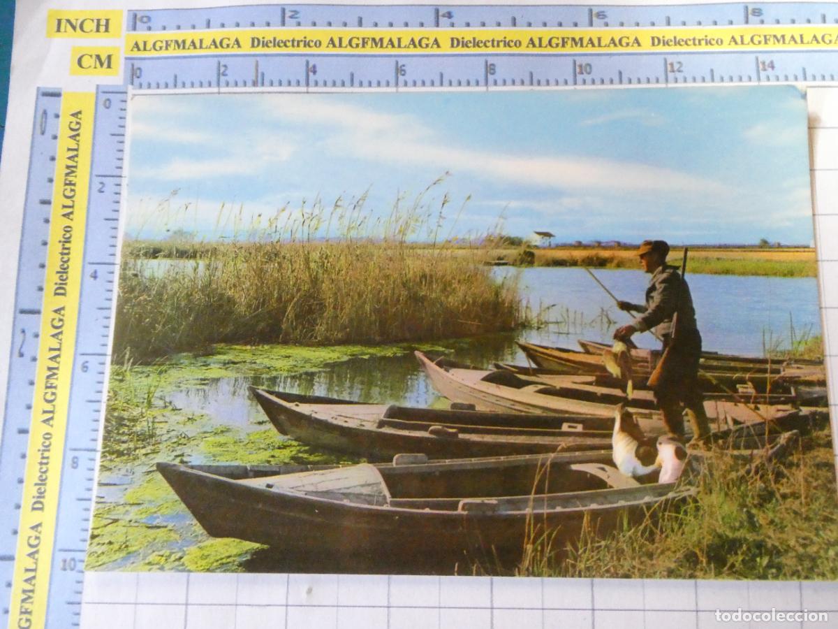 Postales: POSTAL DE VALENCIA. A&Ntilde;O 1964. PAISAJE DE LA ALBUFERA. PERRO CAZADOR 131 JDP. 1629