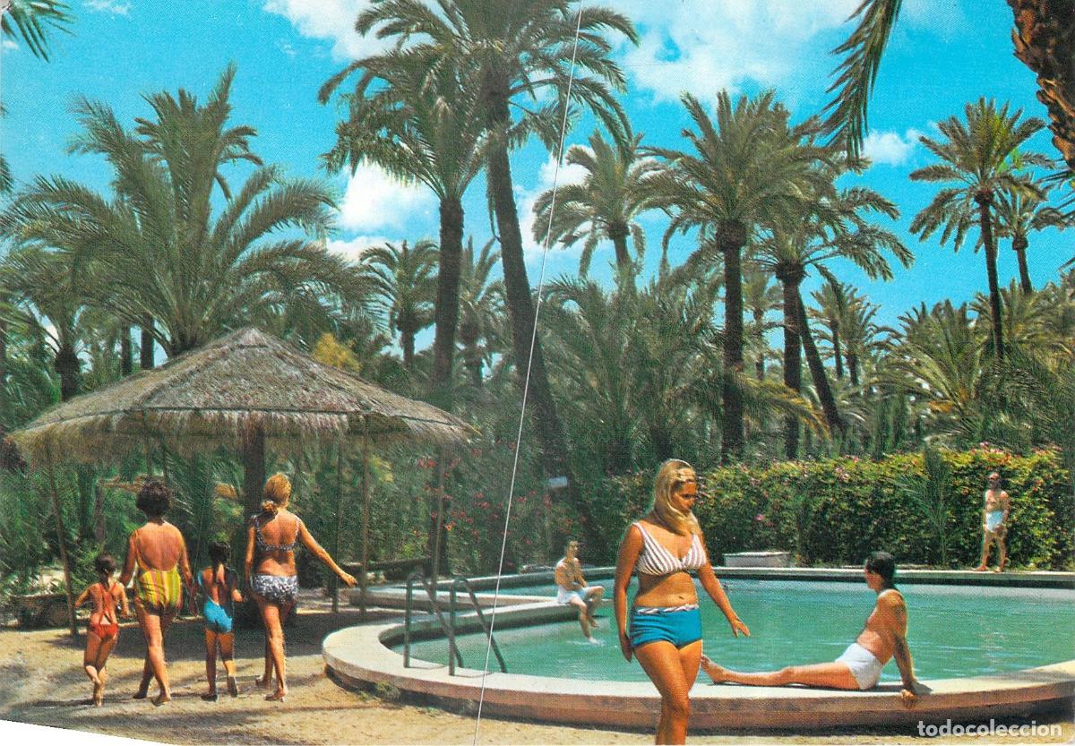 Postales: Postal de Elche: Piscina en el Camping Palmeral y Huerto del Cura