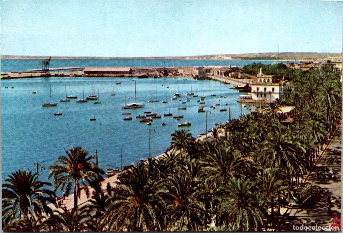 Postales: Alicante - Puerto y Explanada - Juquemo 3 - 153x104mm