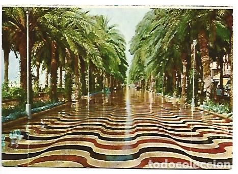 Postales: EXPLANADA DE ESPA&Ntilde;A / EXPLANADE OF SPAIN.- ALICANTE