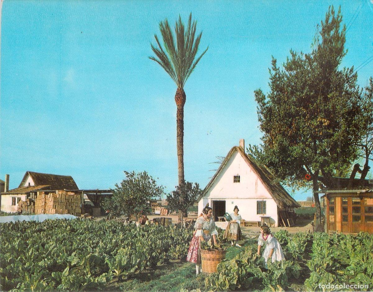 Postales: Postal Valencia - La Huerta y Barraca con Trajes T&iacute;picos
