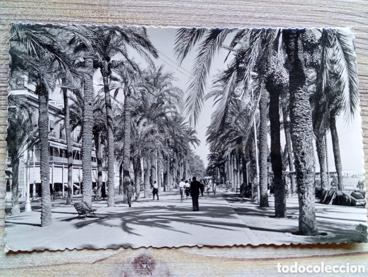 Postales: POSTAL ALICANTE EXPLANADA DE ESPA&Ntilde;A GARC&Iacute;A GARRABELLA 7 SIN CIRCULAR
