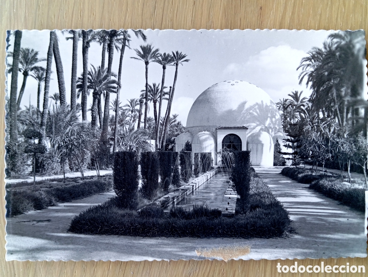 Postales: POSTAL ELCHE ALICANTE PARQUE MUNICIPAL GARC&Iacute;A GARRABELLA 9 SIN CIRCULAR