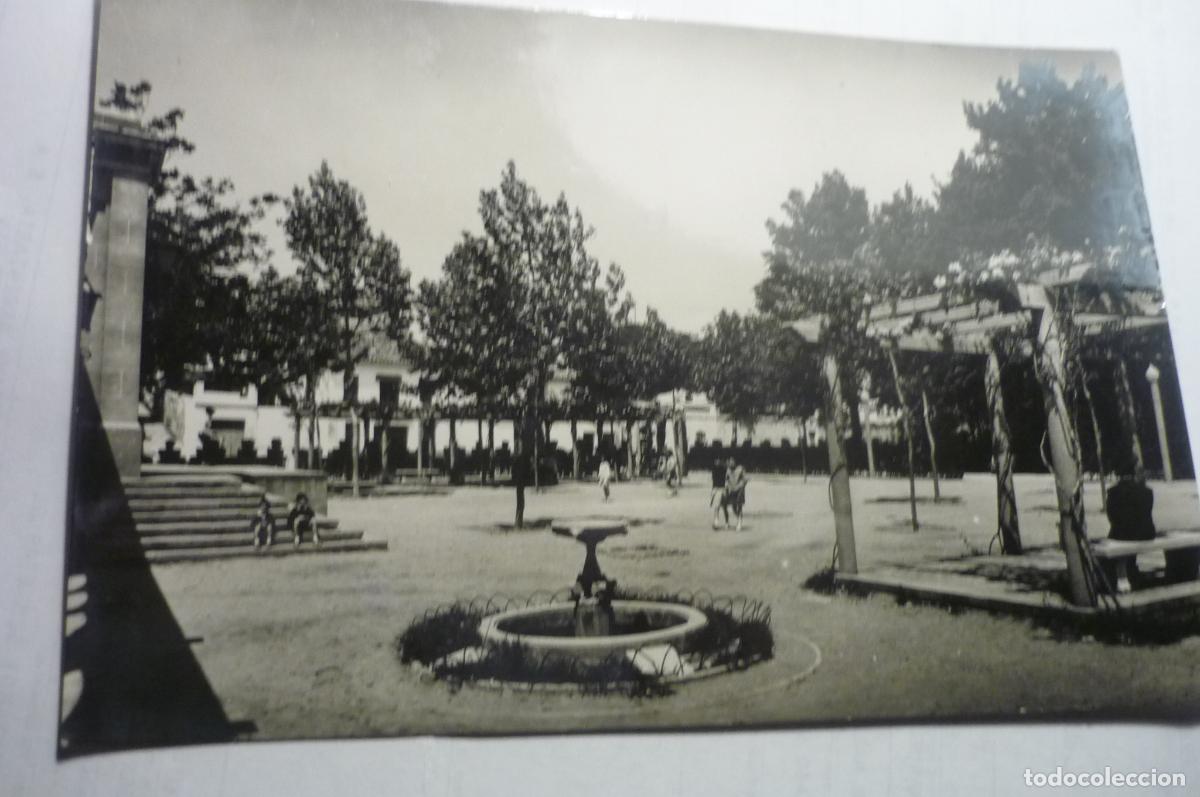 Postales: postal segorbe jardin botanico pau circulada cm