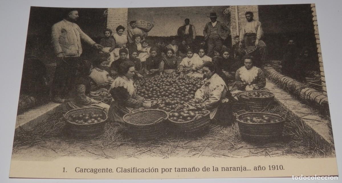Postales: TARGETA POSTAL DE CARCAGENTE- CLASIFICACION DE LA NARANJA A&Ntilde;O 1910