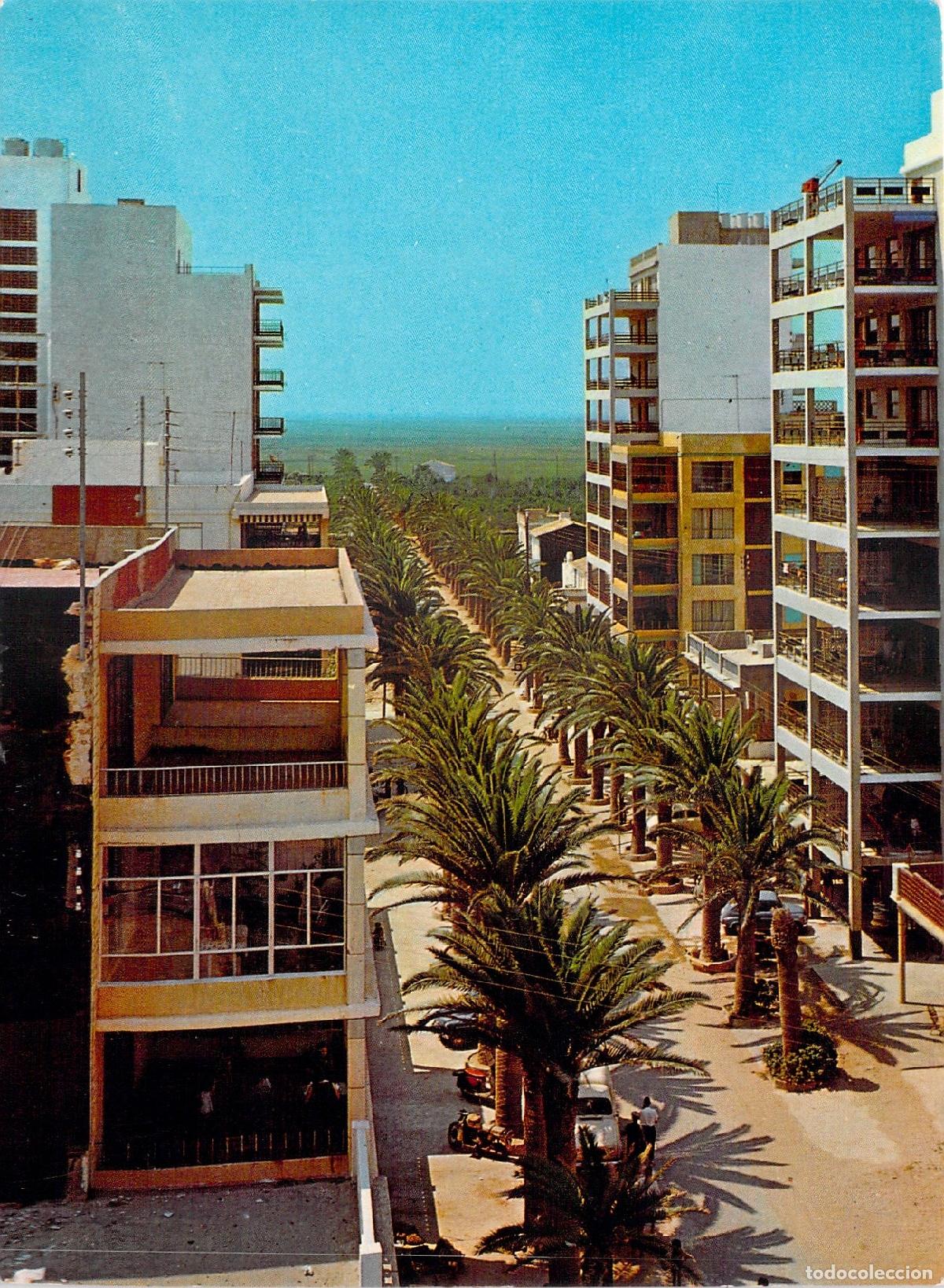 Postales: Postal de Palmeretes, Valencia - V&iacute;a San Roque y Palmeras