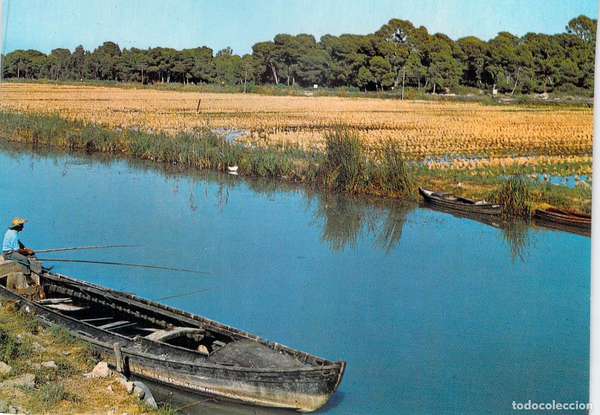 Postales: Postal El Saler Valencia Canal de la Albufera con Pescador