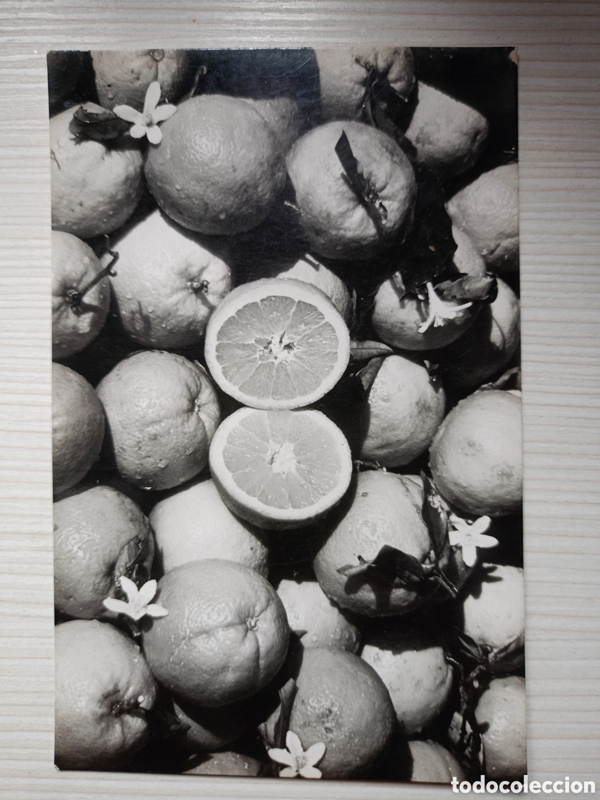 Postales: Postal naranjas de Valencia