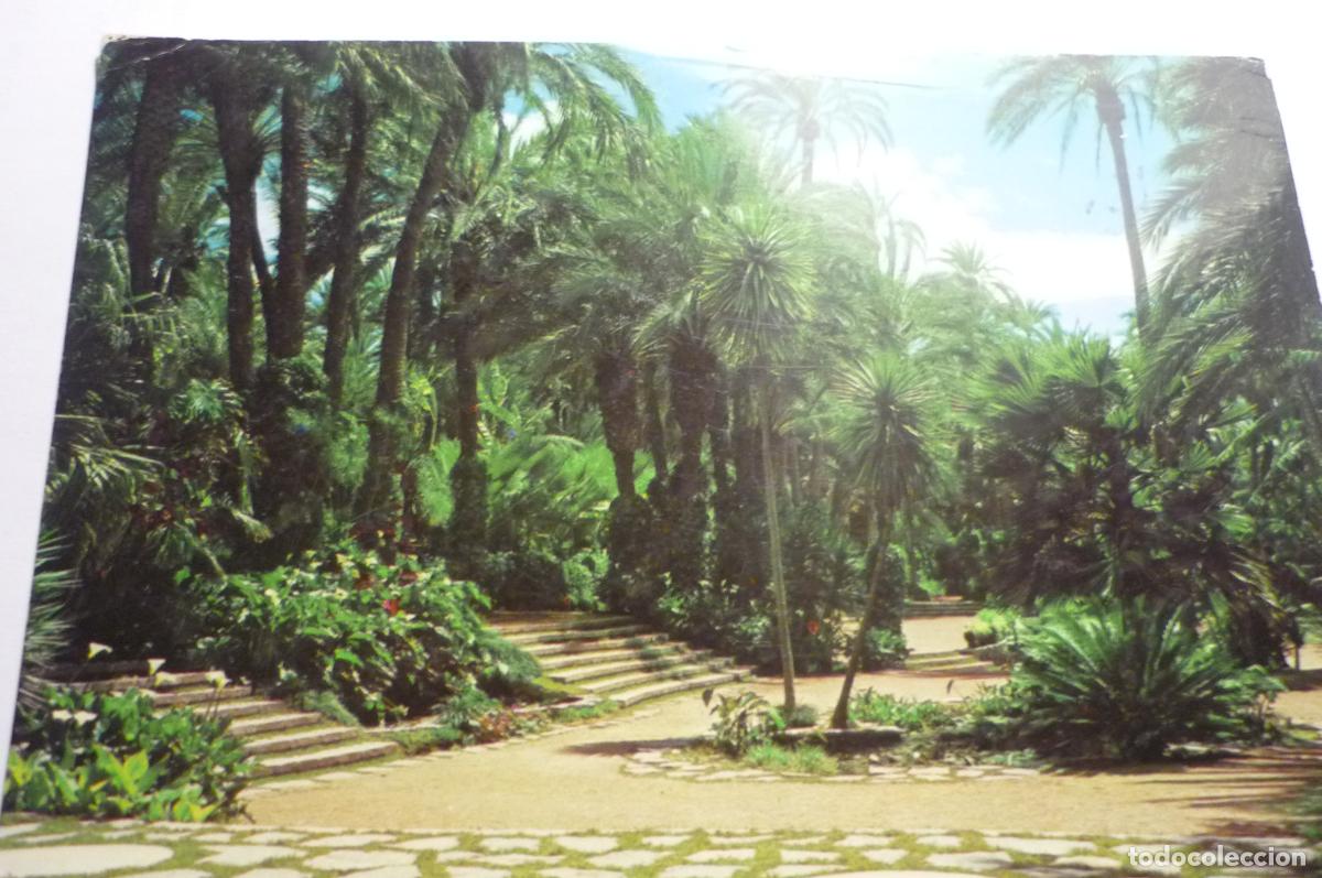 Postales: postal elche parque mpal.circulada cm