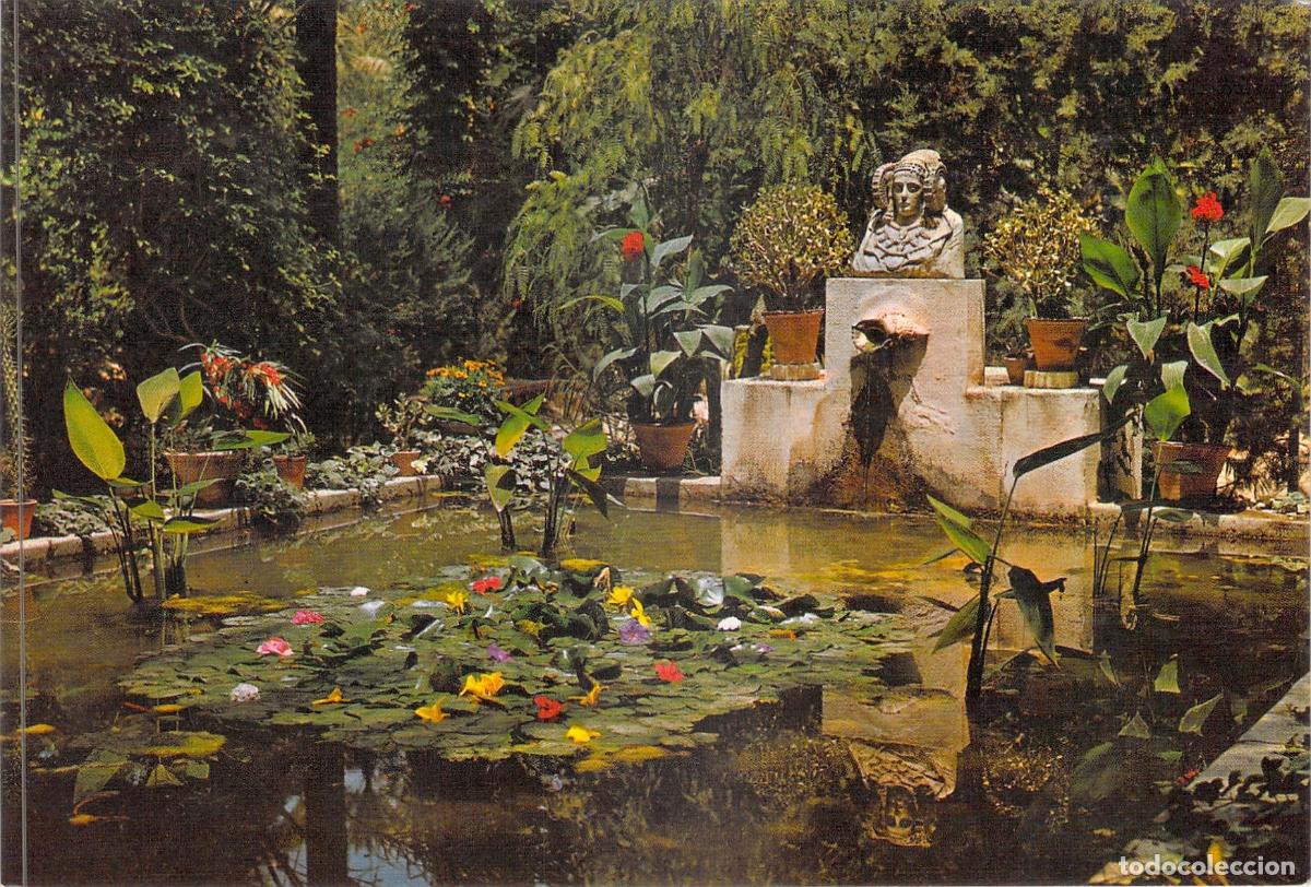 Postales: Postal Elche Huerto del Cura El Tocador de la Dama de Elche