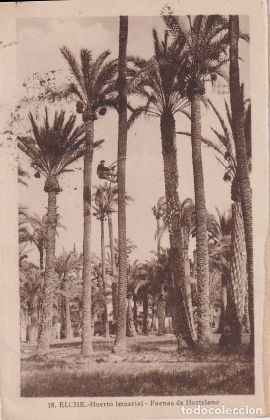 Postales: ELCHE (ALICANTE) HUERO IMPERIAL, FAENAS DE HORTELANO - L.ROISIN 18 - CIRCULADA
