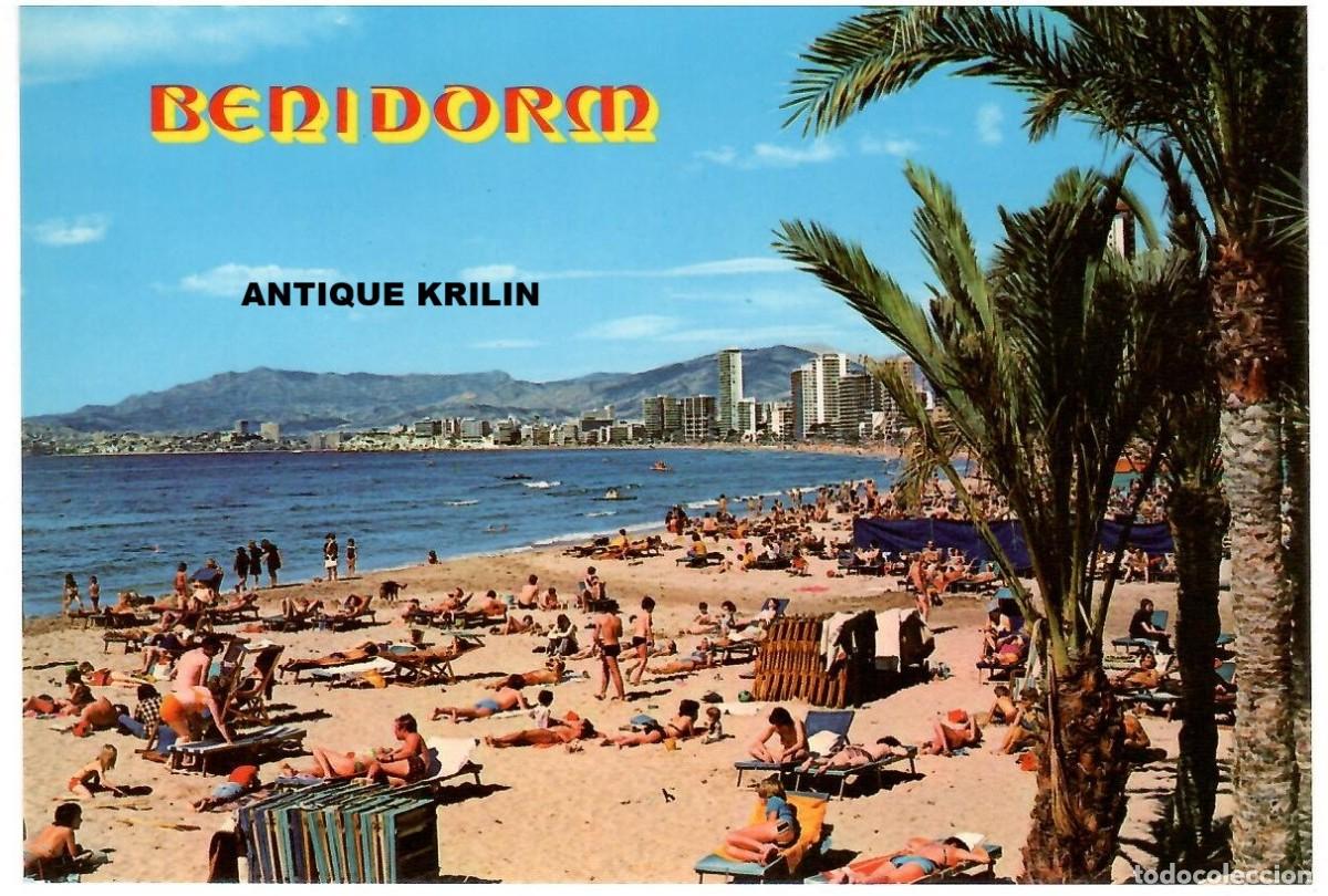 Postales: BENIDORM N&ordm; 839 / EDICION RUECK / SIN FRANQUEAR